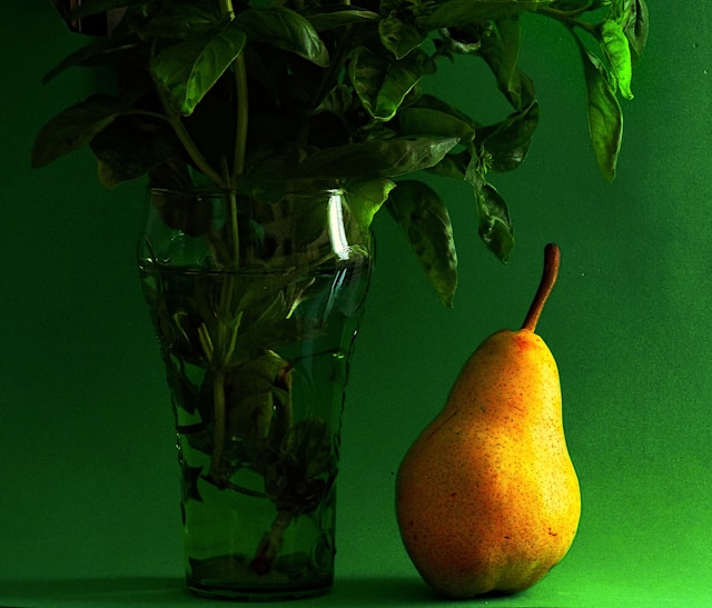 Dalnormira galéria 3